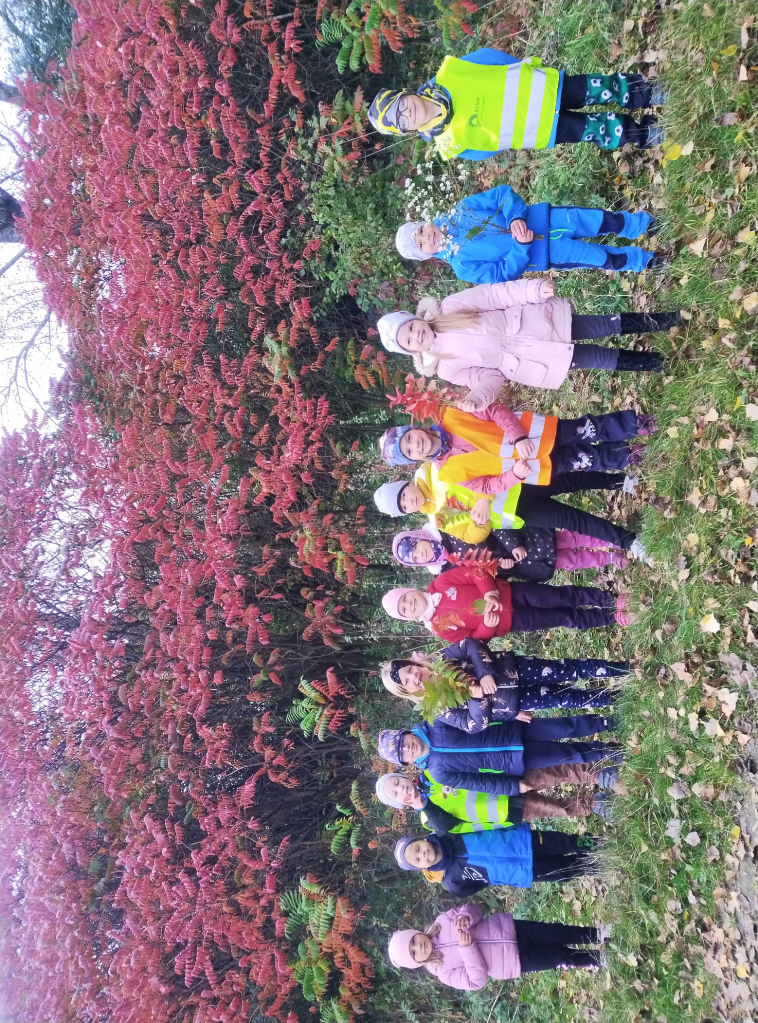 IMG-20231019-WA0013