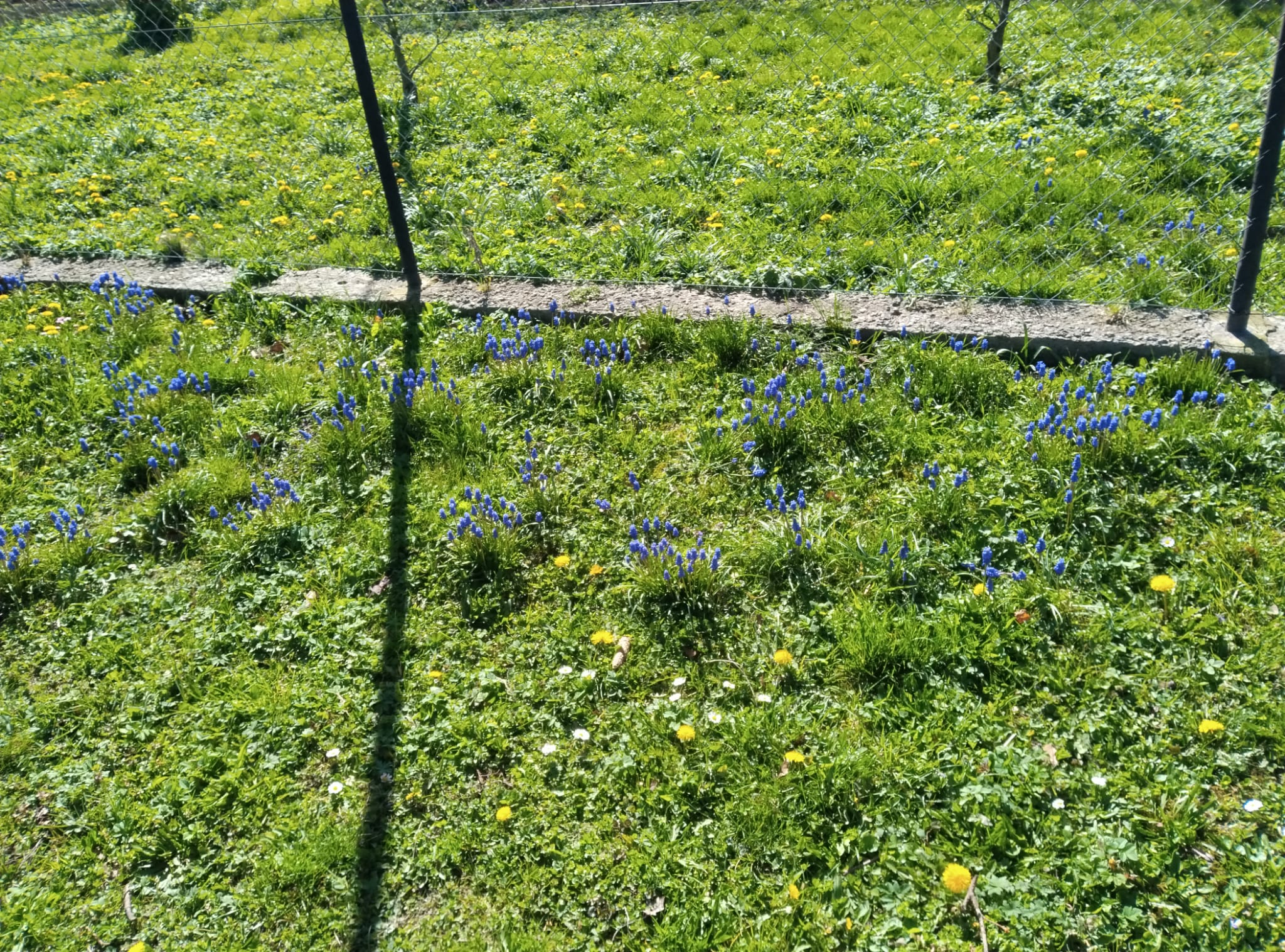 IMG-20240403-WA0010