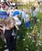 IMG-20250417-WA0002