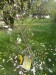 IMG-20250418-WA0003