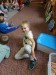 IMG-20251001-WA0031