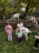 IMG-20251016-WA0032