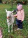 IMG-20251016-WA0120