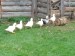 IMG-20251016-WA0128