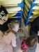 IMG-20260223-WA0028