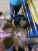 IMG-20260223-WA0030
