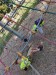 IMG-20260907-WA0002
