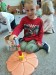 IMG-20260911-WA0007