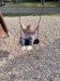 IMG-20261005-WA0118