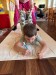 IMG-20261005-WA0064